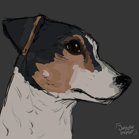 pet painting pet painting