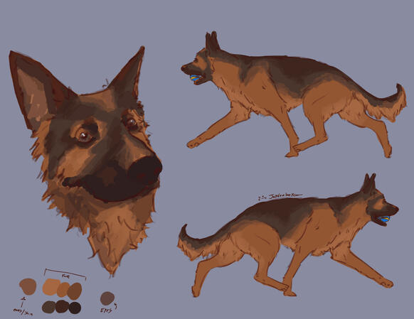 nova doggy nova doggy